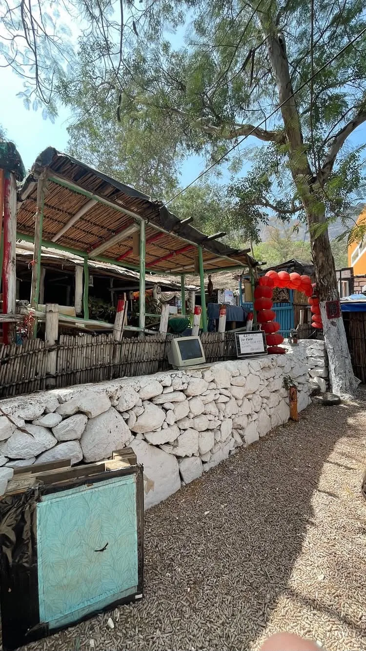 Shaded outdoor café with a reed roof and white stone wall