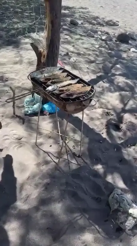 Fish cooking on a small outdoor grill on the sandy shore