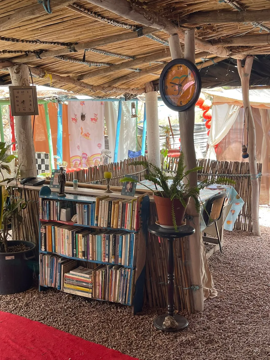 Bookshelves and potted plants beneath a rustic reed roof